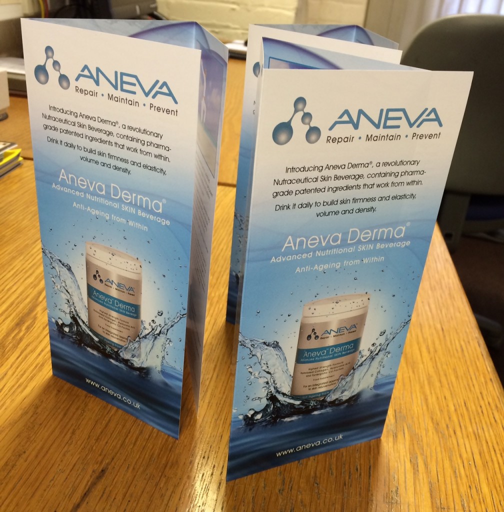 Aneva DL leaflets - Solways Printers quality printing London